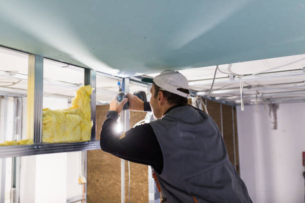 Best Cellulose Insulation in Hooper, NE