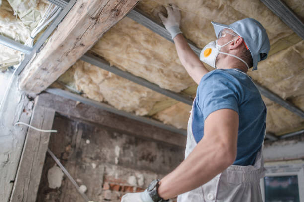 Best Insulation Maintenance and Repair in Hooper, NE